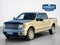 2010 Ford F-150 Platinum