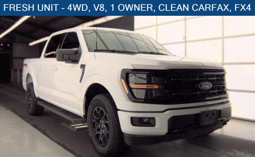 2025 Ford F-150 XLT