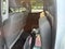 2017 Chevrolet Silverado 2500HD Work Truck